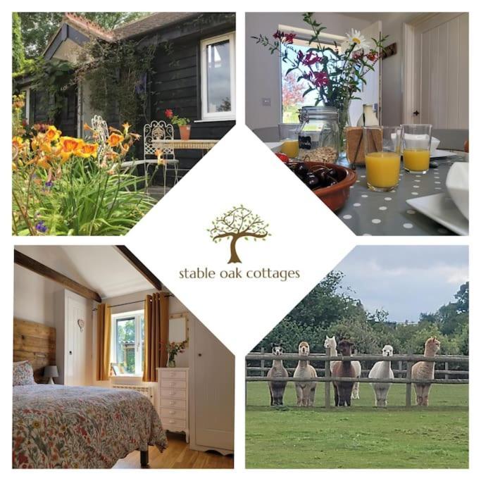 Willow Cottage In Idyllic Location Harrietsham エクステリア 写真