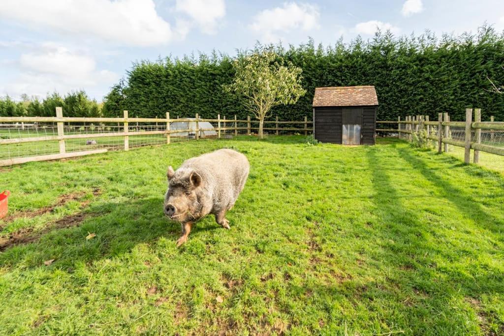 Willow Cottage In Idyllic Location Harrietsham エクステリア 写真