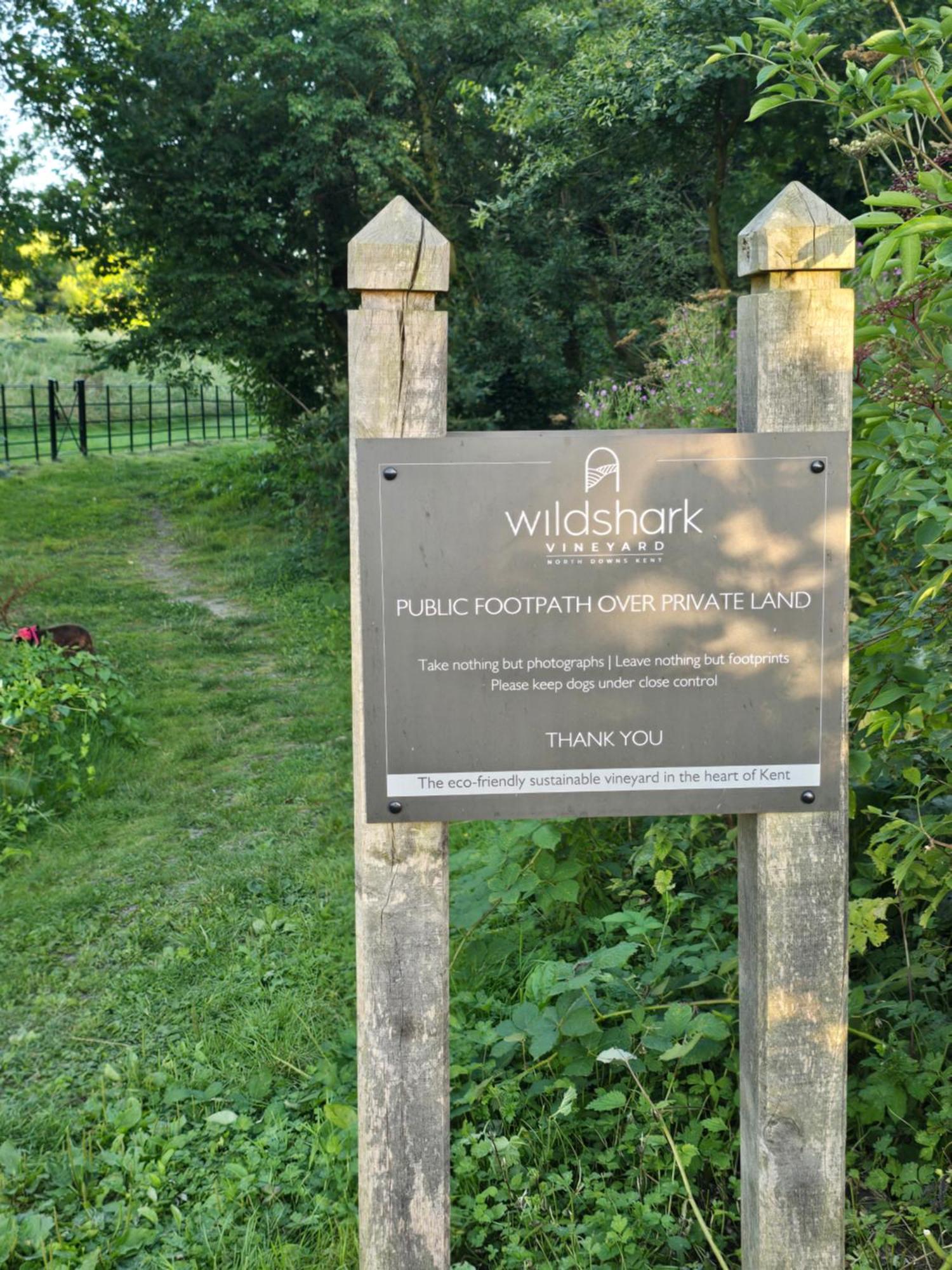 Willow Cottage In Idyllic Location Harrietsham エクステリア 写真